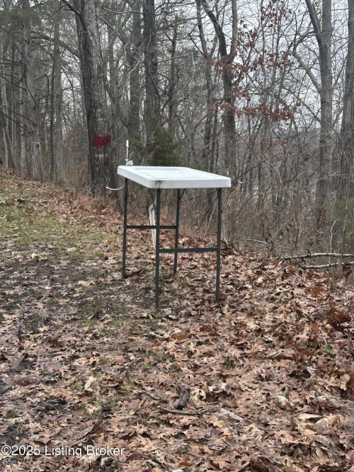 Listing Image 29