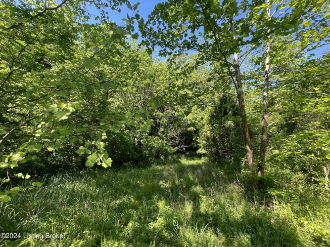 Listing Image 24