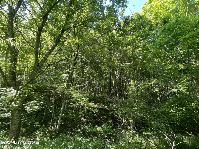 Listing Image 26