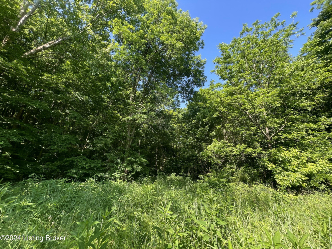 Listing Image 27