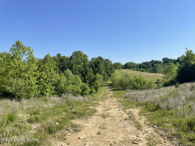 Listing Image 29