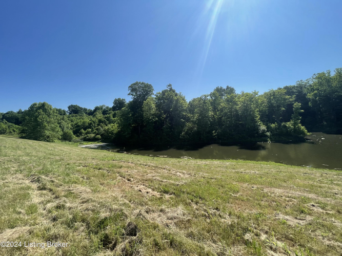 Listing Image 31