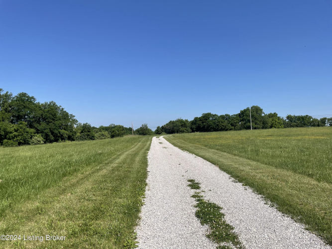 Listing Image 37