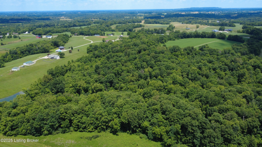 Listing Image 81