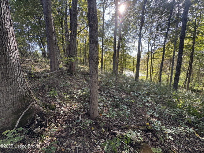 Listing Image 82