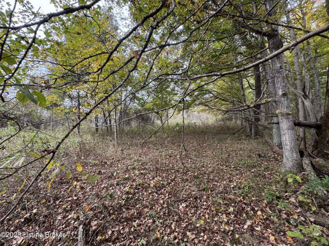 Listing Image 83