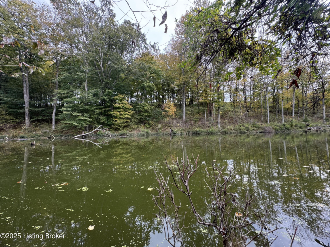 Listing Image 84