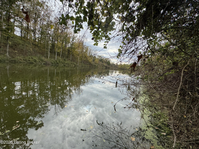 Listing Image 85