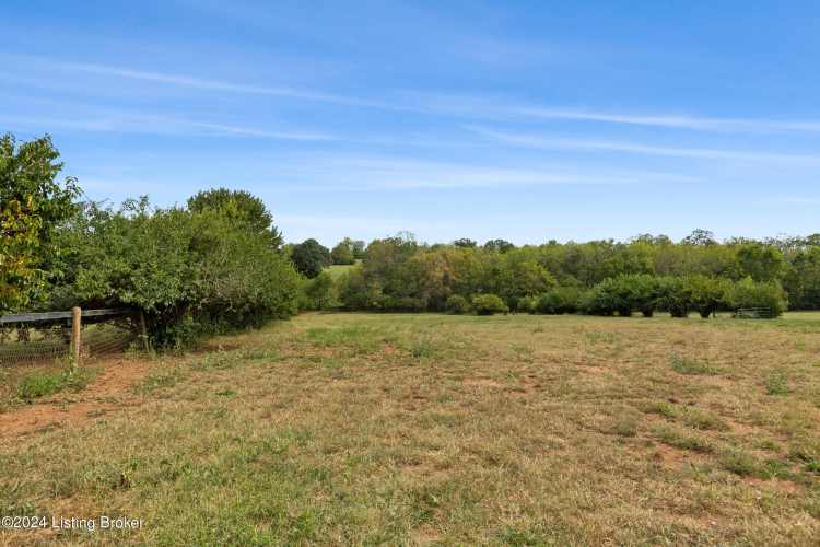 Listing Image 50