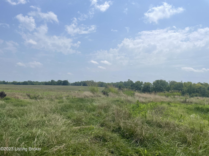 Listing Image 17