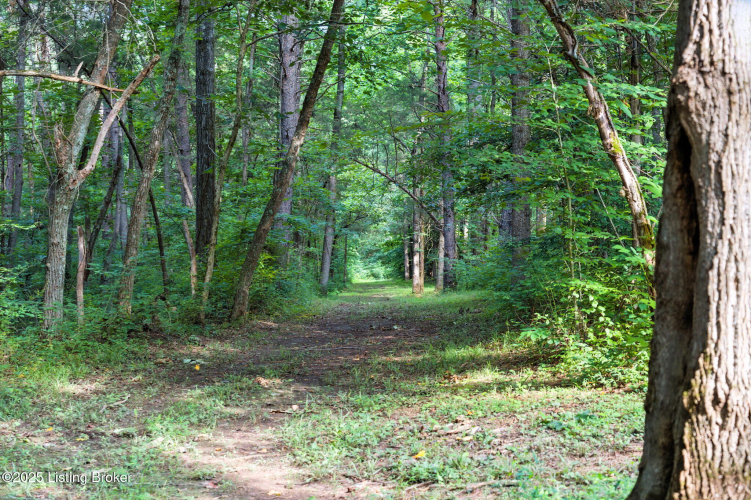 Listing Image 104