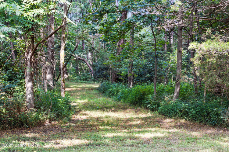 Listing Image 106