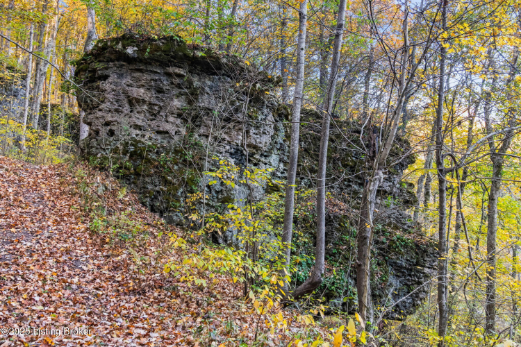 Listing Image 110