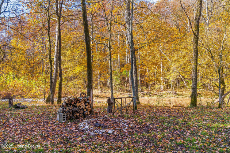 Listing Image 117