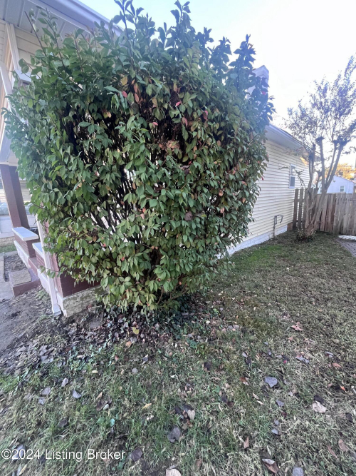 Listing Image 20