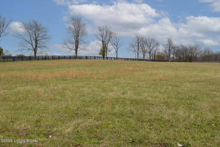 Listing Image 54