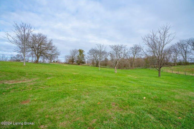 Listing Image 62