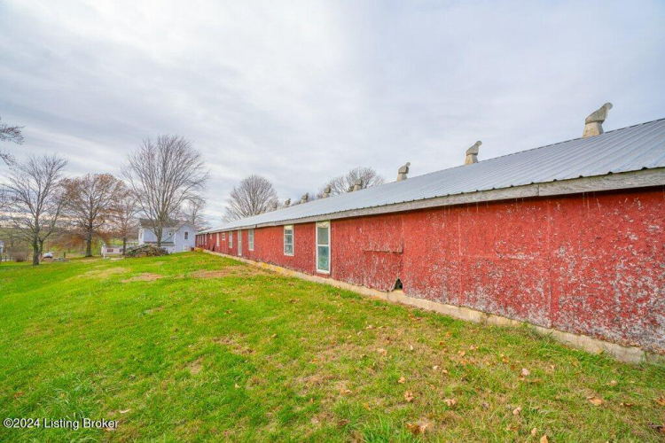 Listing Image 64