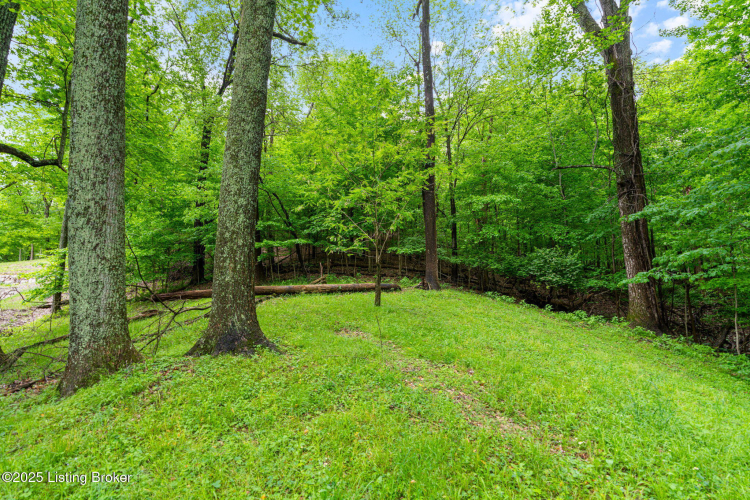 Listing Image 46