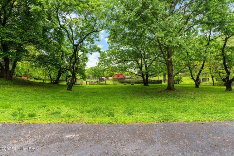 Listing Image 49