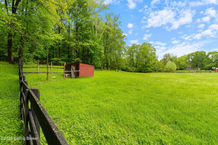 Listing Image 78