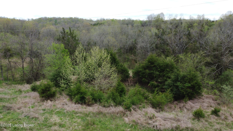 Listing Image 41