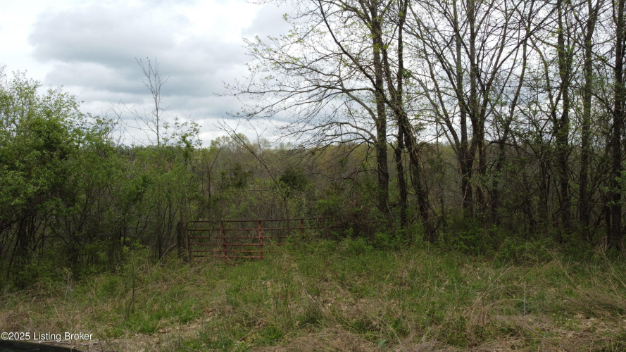 Listing Image 42