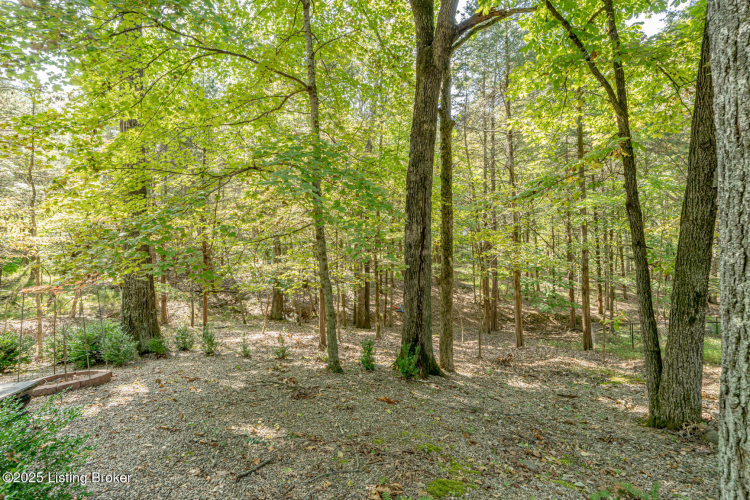 Listing Image 40