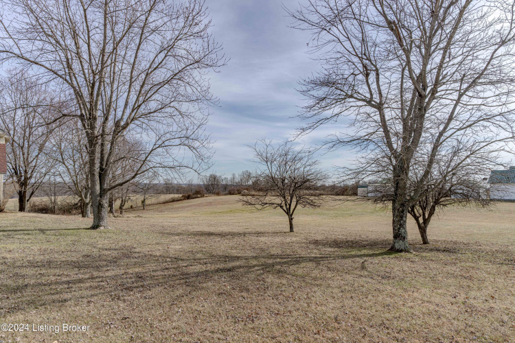 Listing Image 68