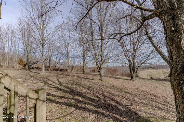 Listing Image 69
