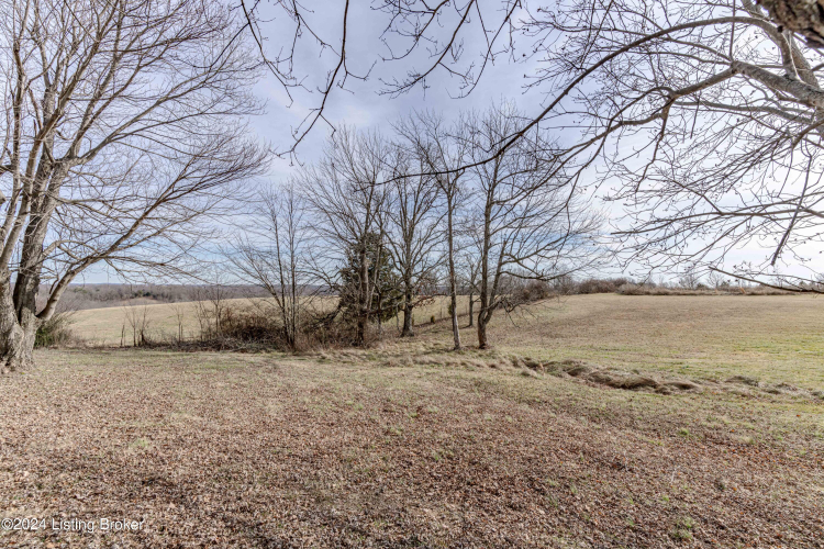 Listing Image 70