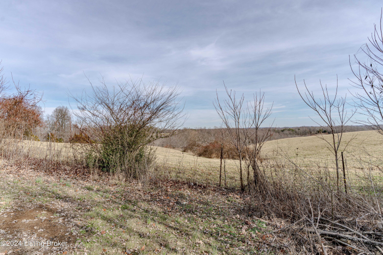 Listing Image 72