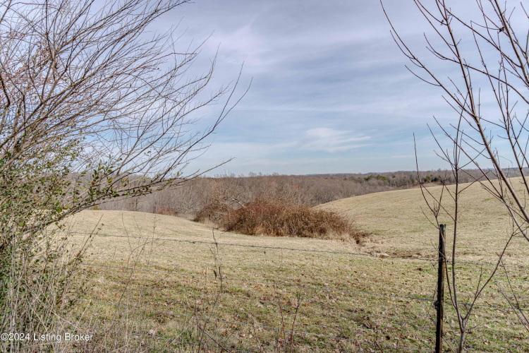 Listing Image 73