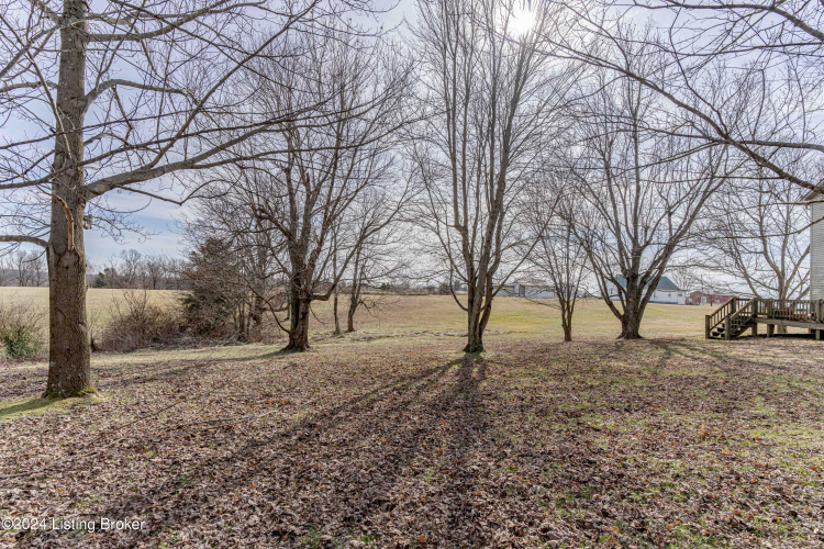 Listing Image 74