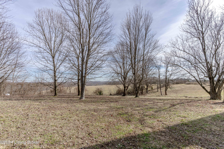 Listing Image 75