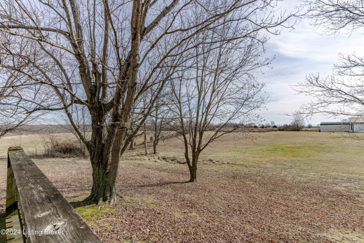 Listing Image 76