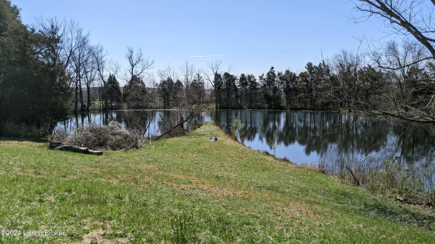 Listing Image 33