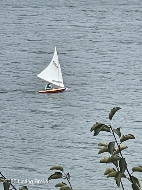 Listing Image 53