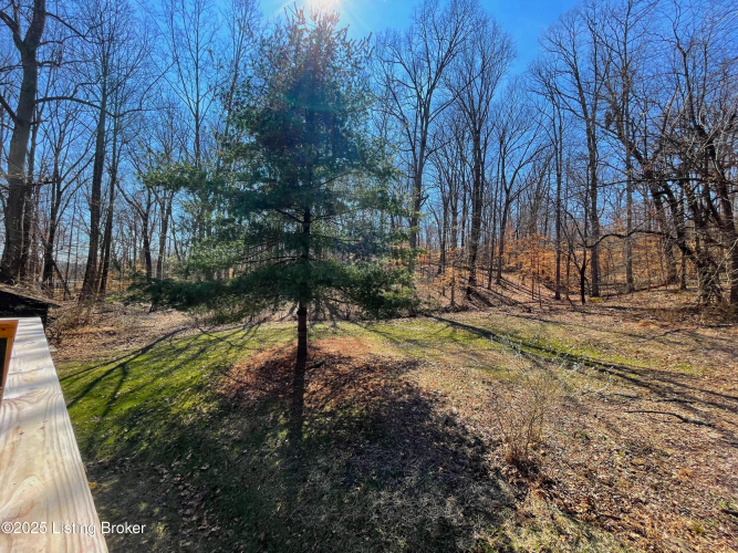 Listing Image 52