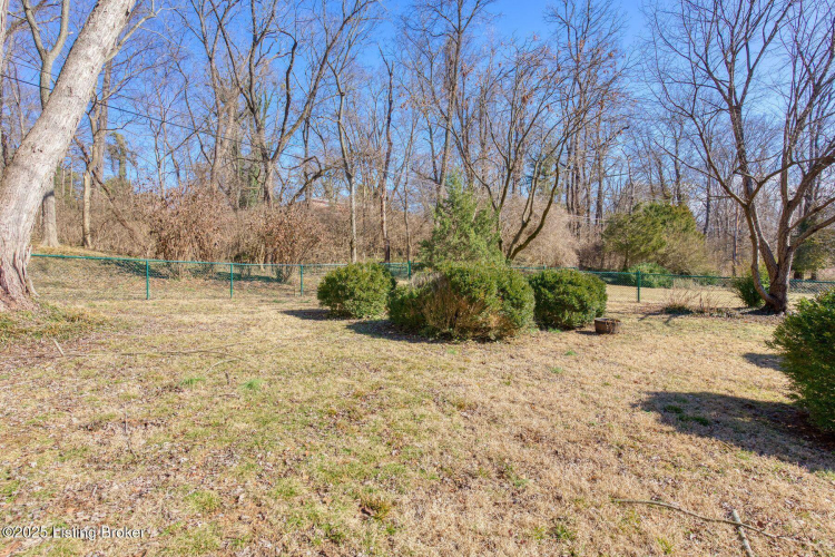 Listing Image 53