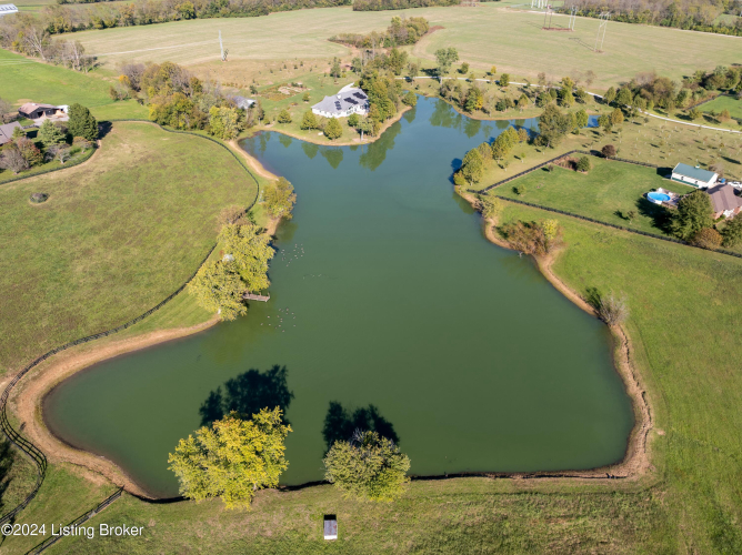 Listing Image 68