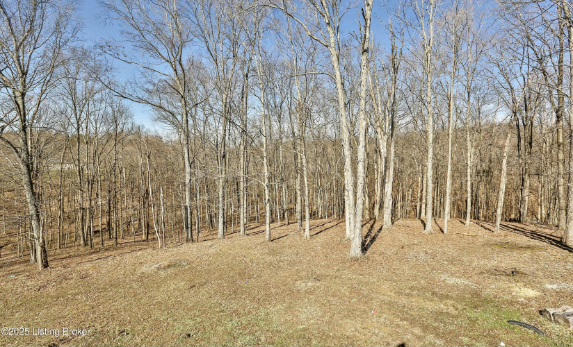 Listing Image 46