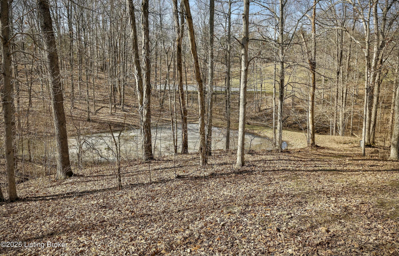Listing Image 49