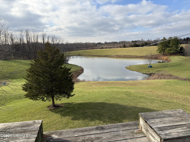 Listing Image 49