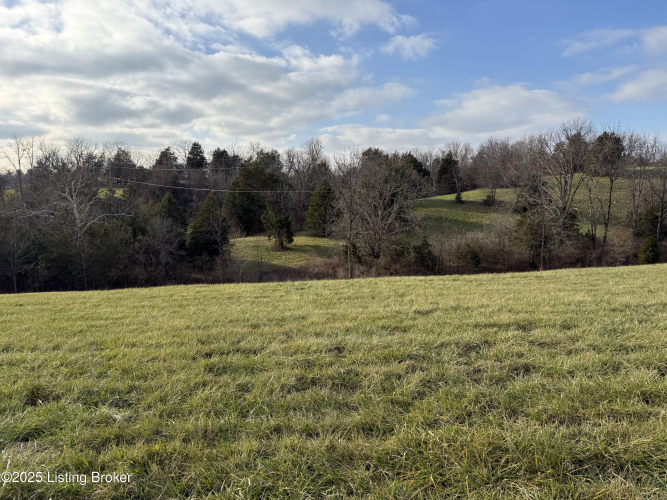 Listing Image 54