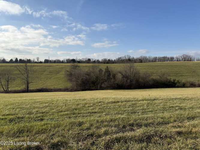 Listing Image 57