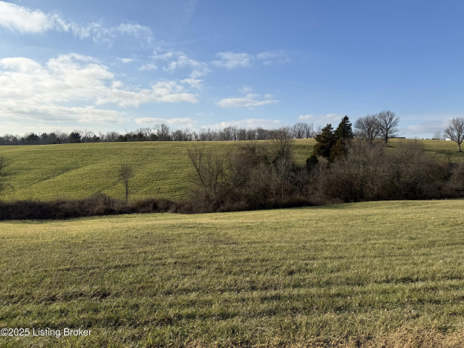 Listing Image 58