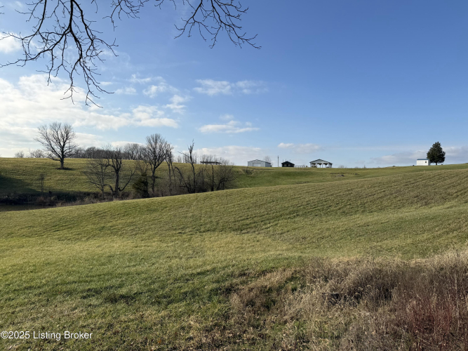 Listing Image 59
