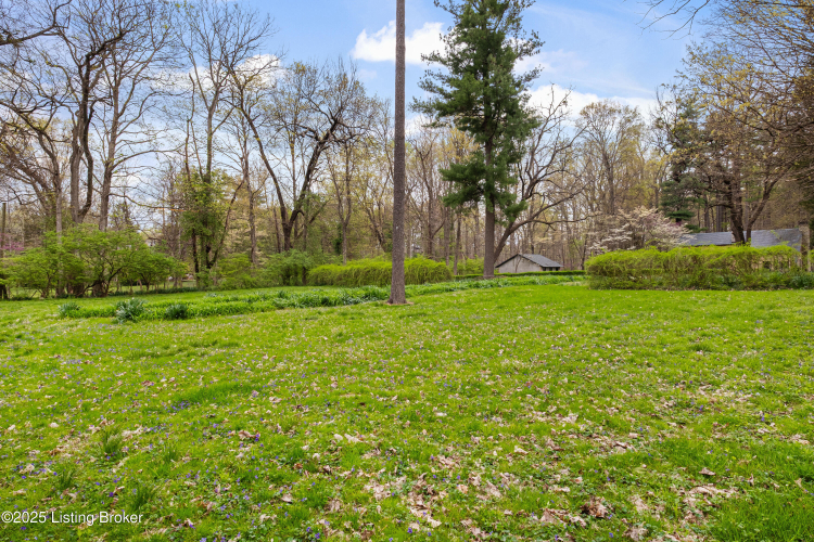 Listing Image 74