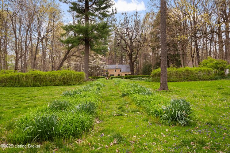 Listing Image 75